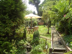 back garden 3